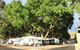 Williamstown Queen Victoria Jubilee Park - thumb 0