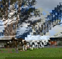 Woodenbong B and B - Accommodation Mount Tamborine