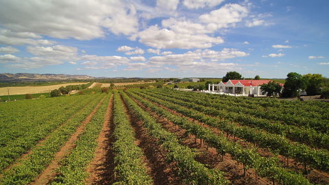 1837 Barossa Luxury Vineyard Cottages - Accommodation Mount Tamborine 0