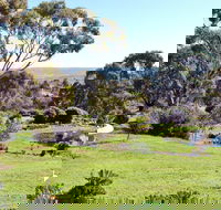 Austiny Bed and Breakfast - Accommodation Mount Tamborine