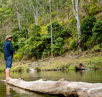 Bass Lodge - Accommodation Mount Tamborine