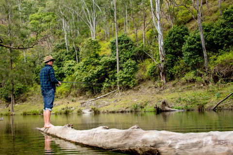 Bass Lodge - Accommodation Mount Tamborine 0