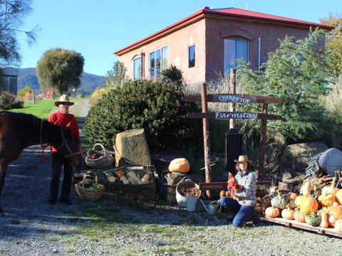 Cherry Top Accommodation - Cherry Top - Accommodation Mount Tamborine 0