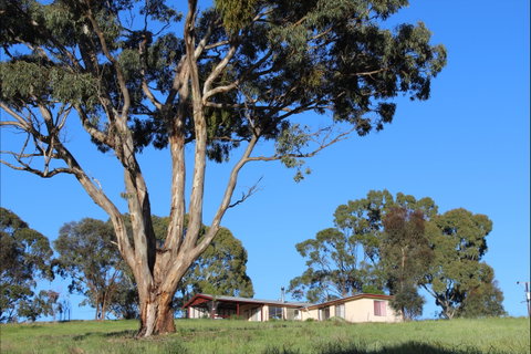 Clare View Accommodation - Clare View Cottage - Accommodation Mount Tamborine 2