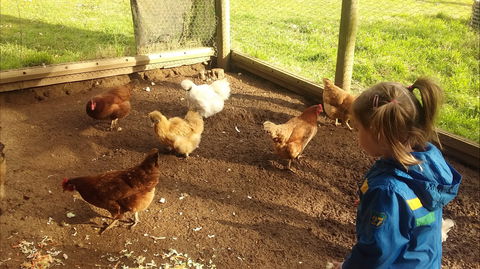 Emerald Park Holiday Farm - Accommodation Mount Tamborine 2