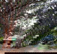 Fernleigh Accommodation - Accommodation Mount Tamborine
