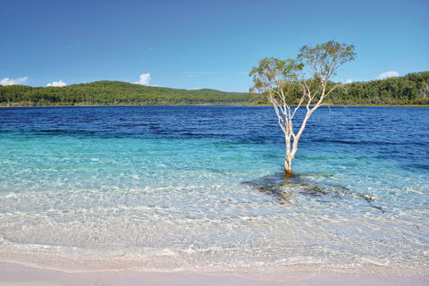 Fraser Island Fishing Units - Accommodation Mount Tamborine 0