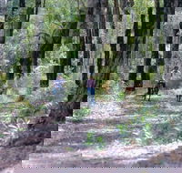 Honeymoon Pool - Gelcoat Camp at Wellington National Park - Accommodation Mount Tamborine