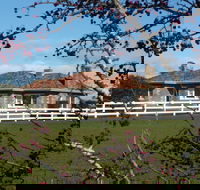 Little Sunnyside Accommodation - Accommodation Mount Tamborine