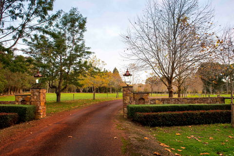 Losari Retreat Boutique Luxury Villas - Accommodation Mount Tamborine 0