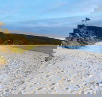 White Beach Tourist Park - Accommodation Mount Tamborine