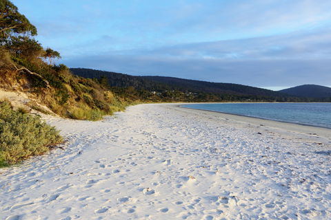 White Beach Tourist Park - Accommodation Mount Tamborine 0