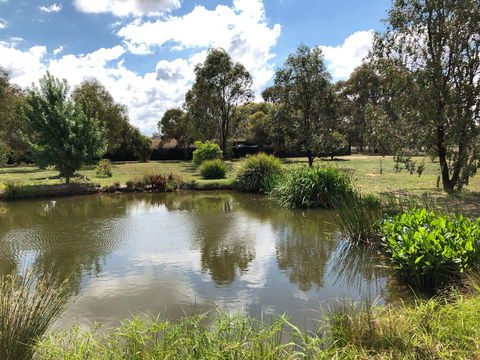 Appleyard Bed And Breakfast - Accommodation Mount Tamborine 1