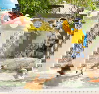 Ashmore Palms Holiday Village - Accommodation Mount Tamborine