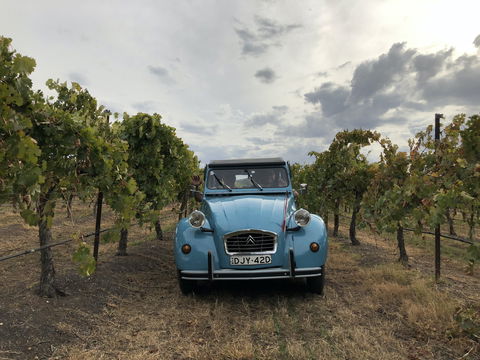 Birches Bed And Breakfast Mudgee - Accommodation Mount Tamborine 2