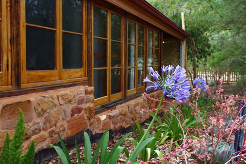 Bluey Blundstone's Accommodation - Accommodation Mount Tamborine 0