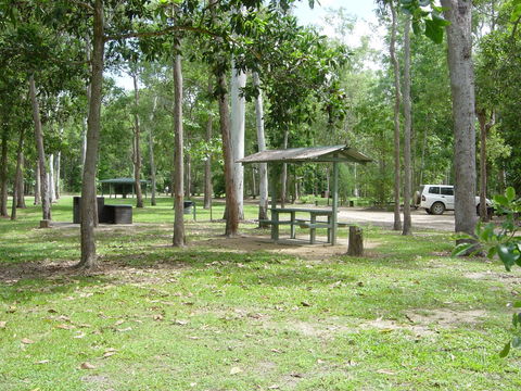 Broadwater Camping Area, Abergowrie State Forest - Accommodation Mount Tamborine 0