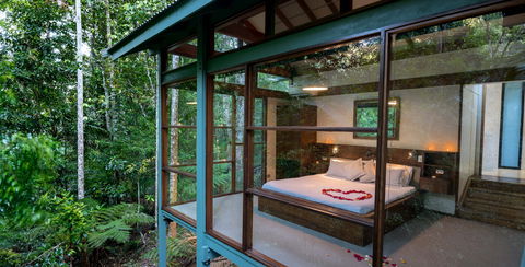 Crystal Creek Rainforest Retreat - Accommodation Mount Tamborine 2