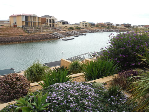 Happy Gilmore - Accommodation Mount Tamborine 0