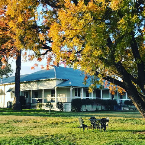 Little Kickabell Country Homestead - Accommodation Mount Tamborine 1