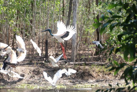 Rakhi Retreat - Accommodation Mount Tamborine 0