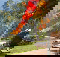 Riverdowns - Accommodation Mount Tamborine