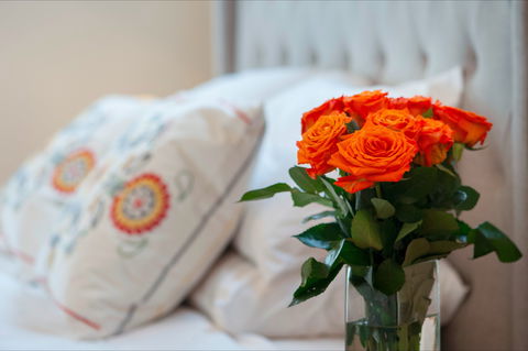 The Nest At Gundaroo - Accommodation Mount Tamborine 1