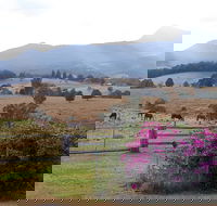 The Barn  House Farm Stay at Possum Manor - Accommodation Mount Tamborine
