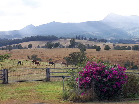 The Barn  House Farm Stay At Possum Manor - Accommodation Mount Tamborine 0