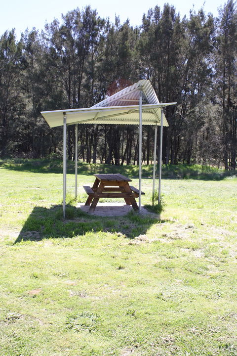 Tuena Camping And Picnic Ground - Accommodation Mount Tamborine 2