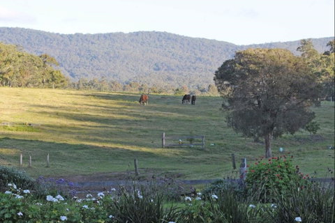 Wallaby Cottage - Accommodation Mount Tamborine 0