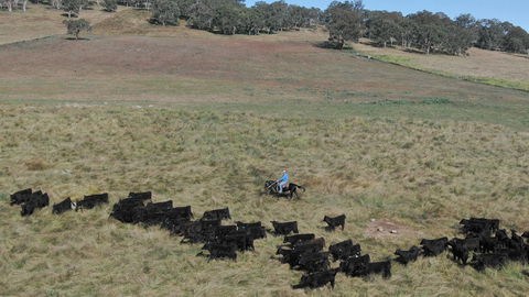 Waterloo Station - Accommodation Mount Tamborine 2