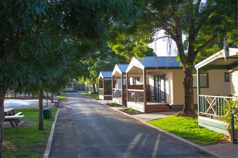 All Seasons Holiday Park - Accommodation Mount Tamborine 7