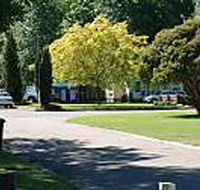 Mitchell Gardens Holiday Park - Accommodation Mount Tamborine