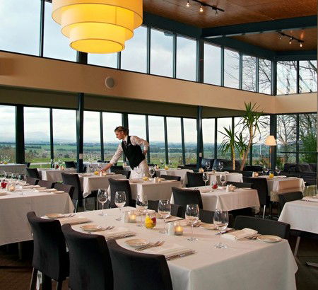 Balgownie Estate Vineyard Resort And Spa - Accommodation Mount Tamborine 3