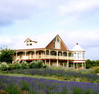 Serendipity Lavender Farm - Accommodation Mount Tamborine