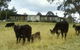 Bumblebrook Farm Motel - thumb 1