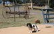 Bumblebrook Farm Motel - thumb 5