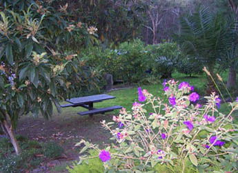 Sunway Farm B And B And Tours - Accommodation Mount Tamborine 2