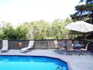 Sunway Farm B And B And Tours - Accommodation Mount Tamborine 3