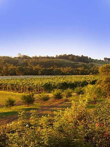 Wallace Heritage Homestead - Accommodation Mount Tamborine 5