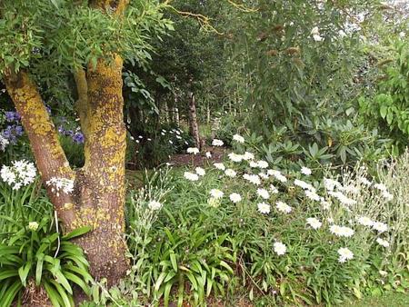 Springbank Bed And Breakfast - Accommodation Mount Tamborine 0