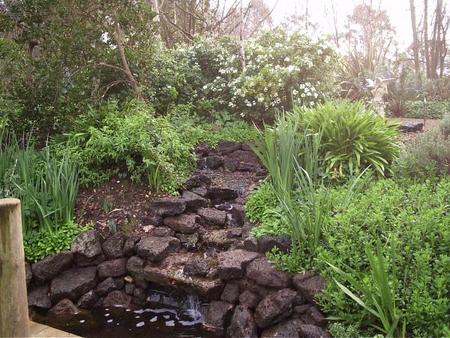 Springbank Bed And Breakfast - Accommodation Mount Tamborine 4
