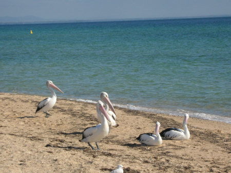 Arlingtons - Accommodation Mount Tamborine 2