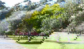 Otways Tourist Park - Accommodation Mount Tamborine 0