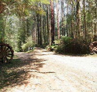 Hill n Dale Farm Cottages - Accommodation Mount Tamborine