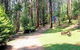 Hill N Dale Farm Cottages - thumb 1