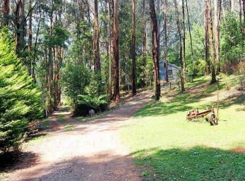 Hill N Dale Farm Cottages - Accommodation Mount Tamborine 1