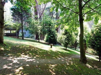 Hill N Dale Farm Cottages - Accommodation Mount Tamborine 2