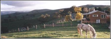 Idlewild Park Farm Accommodation - Accommodation Mount Tamborine 1